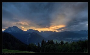 Immagine non classificata, 5 di 17, pulsante