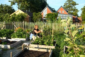 A garden with raised beds and a wooden fence. - Ecolodge (4-person) on the Groninger Land, near the cozy town of Groningen (Lettelbert)