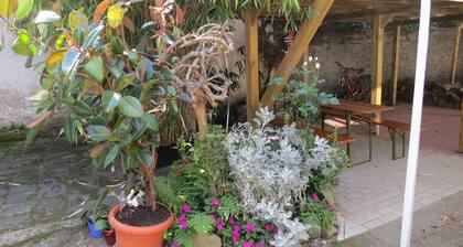 Sonnige Fachwerkhaus-Wohnung Nähe Frankfurt/M