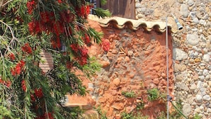 Una escalera de piedra conduce a un edificio rústico con una puerta de madera, rodeado de plantas rojas en flor y un muro de piedra.