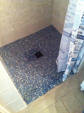 Shower, hair dryer