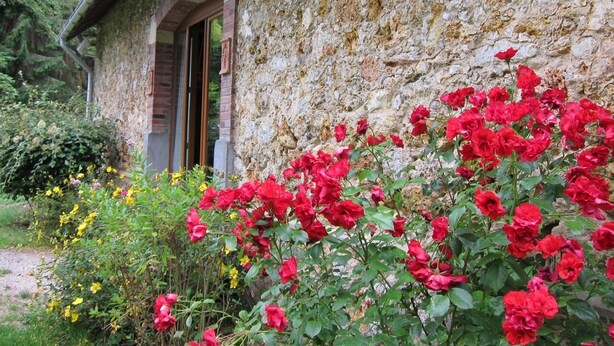 Un edificio de piedra con puerta de madera y jardín con flores rojas y amarillas.