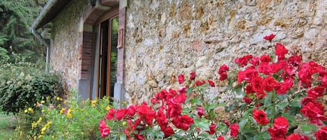 Jardines del alojamiento