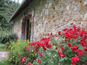 A stone building with a wooden door and a garden with red and yellow flowers. - Source cottage, this is the little house in the meadow! (Chambly)
