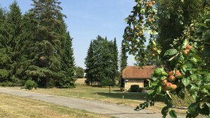 Un entorno rural con una construcción de piedra, un camino de tierra y un árbol con manzanas.