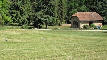 Terrein van de accommodatie