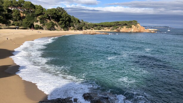 Ein Strand mit felsigem Ufer, klarem, blauem Wasser und einer bewaldeten Hügelkette im Hintergrund.