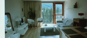 Apartment 50m² slopes on skis