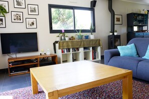 TV, DVD player, books, video library