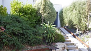 Un jardin aménagé avec un sentier en pierre menant à l’entrée d’un bâtiment.