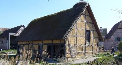 Double duplex near Colmar Markets
