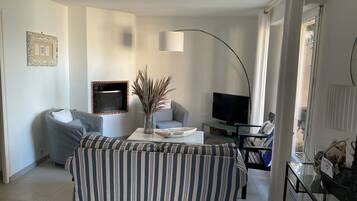 Télévision, cheminée, lecteur de DVD, livres