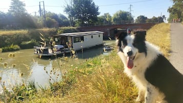 Animaux de compagnie acceptés