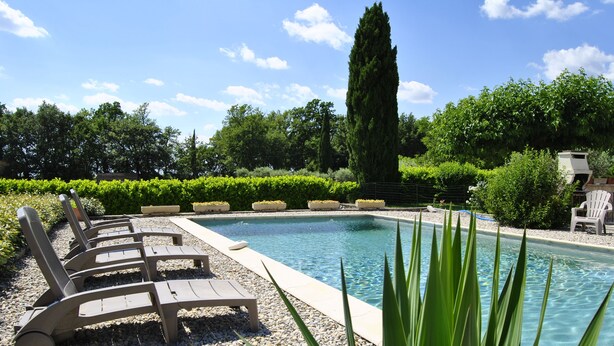 Une piscine avec des chaises longues et un grand arbre en arrière-plan.