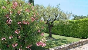 Un jardin avec un mur de pierre, un arbre et une haie.