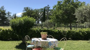 Une table d’extérieur agrémentée d’une plante en pot, entourée de chaises, placée sur une pelouse avec des arbres et une clôture en arrière-plan.