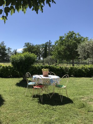 An outdoor table with a potted plant, surrounded by chairs, set on a grassy area with trees and a fence in the background.