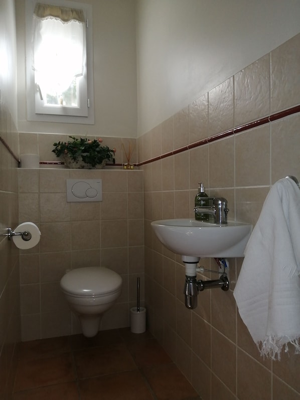 A bathroom with a toilet, a sink, a window with a curtain, and a plant on the wall. - Mas with swimming pool in countryside, meticulous decoration, very comfortable (Vacqueyras)