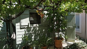 Une maison avec une véranda, des plantes en pot et une fenêtre recouverte de lierre.
