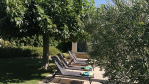 Des fauteuils de jardin sont disposés en rangée, avec un arbre et de la verdure en arrière-plan.