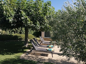 Property grounds - Mas with swimming pool in countryside, meticulous decoration, very comfortable (Vacqueyras)