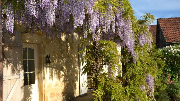 A rustic building with a wooden door and a stone pathway leading to it. - Le Bonheur dans notre pré - Castelnaud, charming gite in an old farm (Sainte-Mondane)