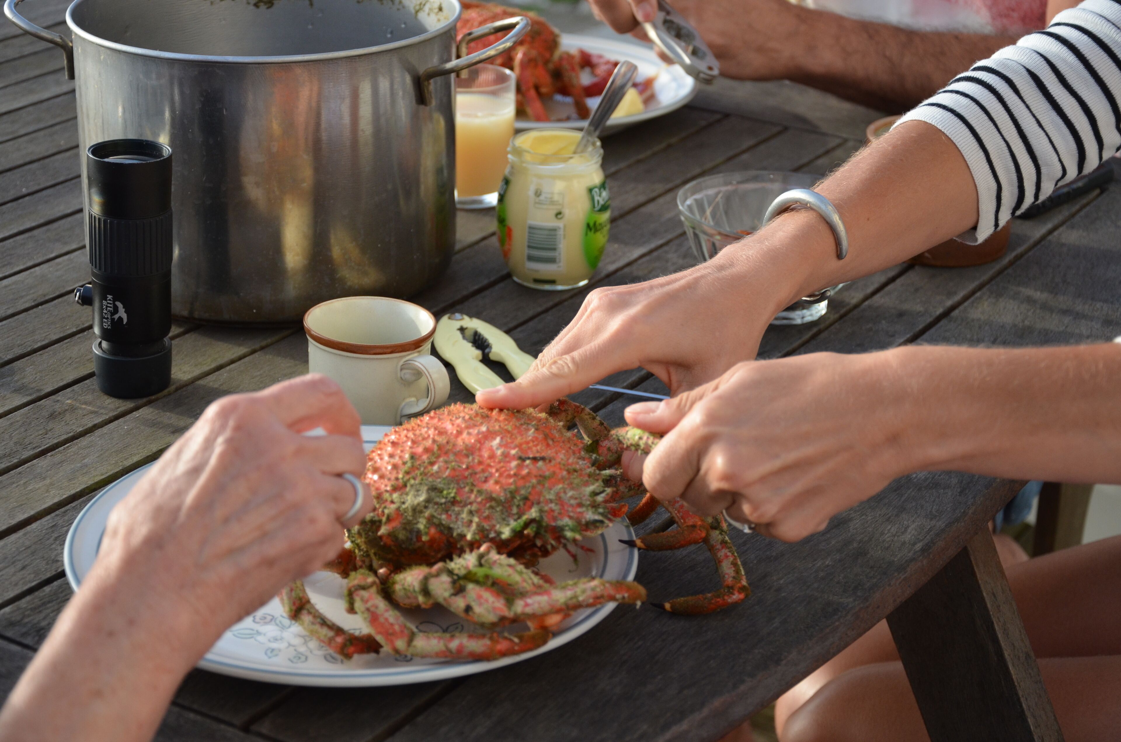 A wooden table with a large pot, a jar of mustard, a glass of juice, and a plate with a crab.