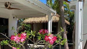 A covered outdoor area with a palm tree, a thatched-roof structure, and a potted plant with pink flowers. - New! Villa Uhaïna, Zen and atypical (SAINT-FRANÇOIS)