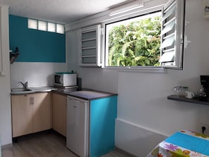 Fridge, microwave, stovetop, coffee/tea maker