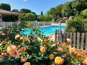 屋外プール、温水プール