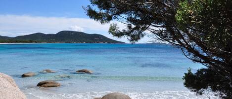 Playa en los alrededores y camastros