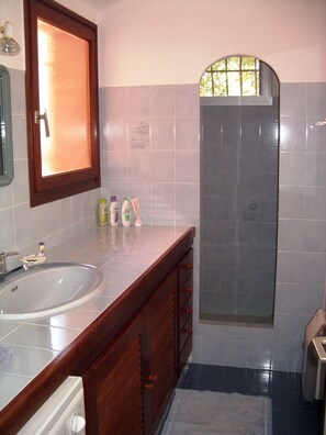 Shower, hair dryer, soap, toilet paper
