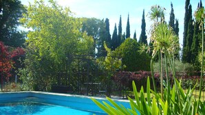 A swimming pool surrounded by lush greenery and tall trees. - Charming apartment in Provencal farmhouse in Saint-Rémy-de-Provence (Saint-Rémy-De-Provence)
