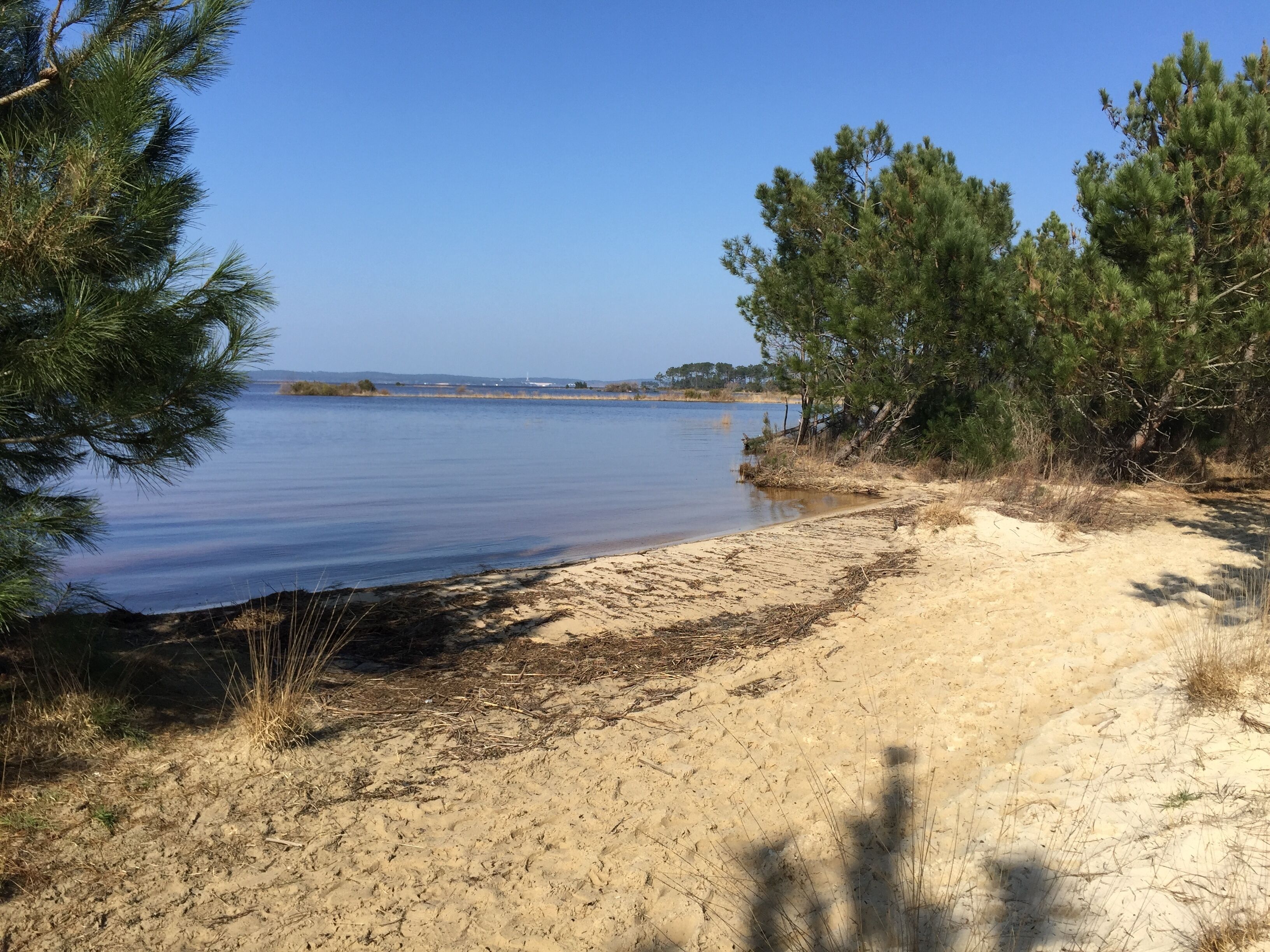Plage à proximité, chaises longues