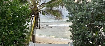 APPARTEMENT AU BORD DE L EAU