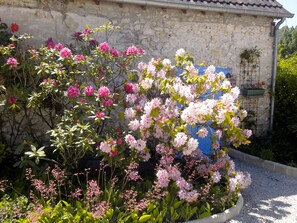 Experience the charm of this historic property, surrounded by a serene garden with a variety of flowering plants and shrubs.