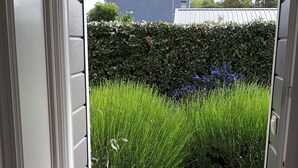 Puerta que da a un jardín con seto, camino de grava y un edificio azul al fondo.