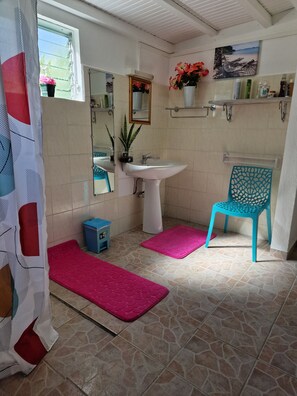 Shower, hair dryer, towels, toilet paper