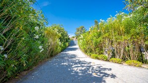 A paved pathway flanked by lush greenery and white flowers, leading towards a distant structure. - Magnificent villa at the gates of Saint-Tropez (Gassin)