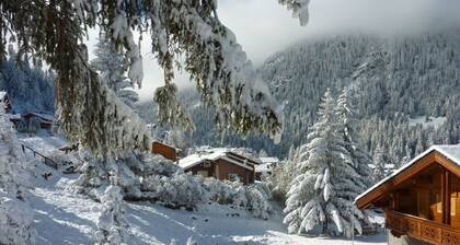 Lovely 4-room apartment for 8, balcony, 100m from slopes, Valfréjus