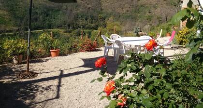 Stone cottage on the edge of quiet village, Arganil 7km