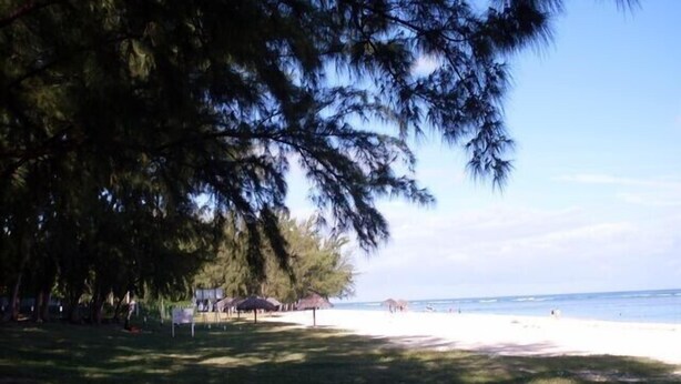 A beach with a grassy area, trees, and a clear sky. - Your bed and breakfast, Tamarind, 5 minutes from the beach and the center (Flic en Flac)
