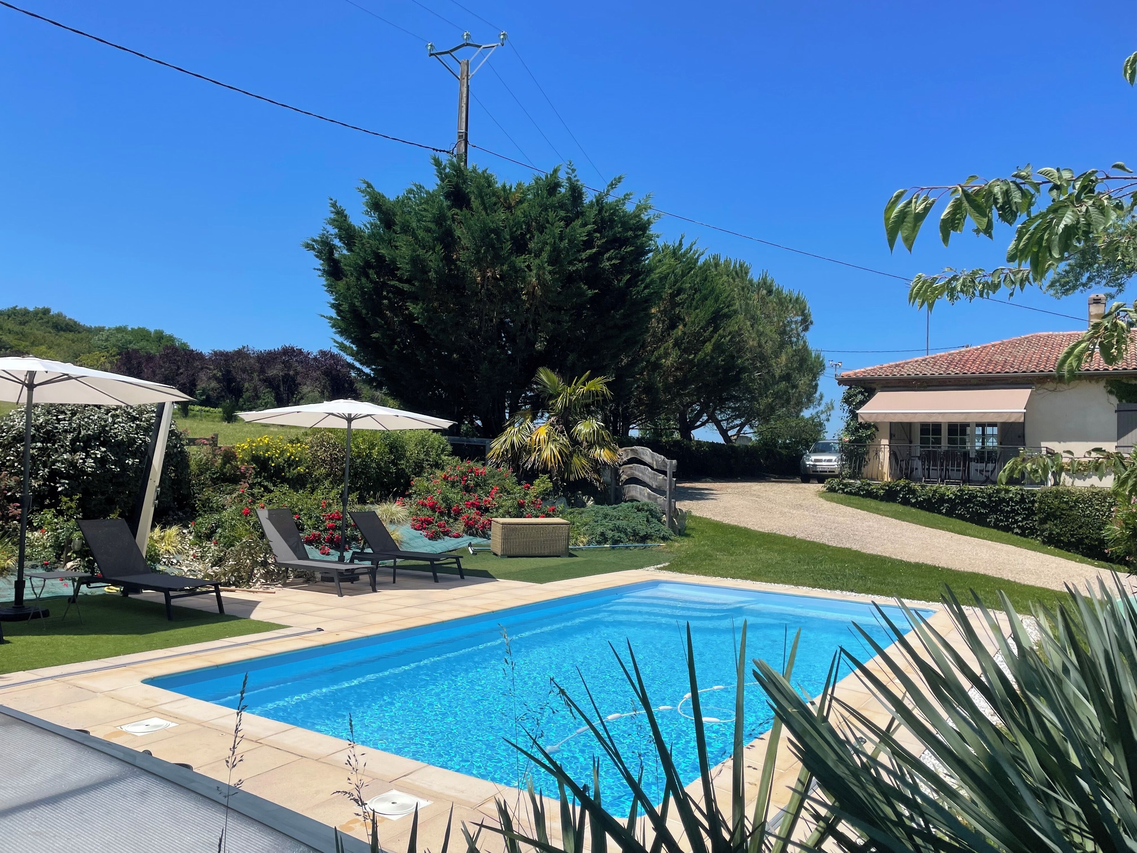 Una piscina amb gandules i ombrel·les, envoltada de vegetació abundant i una casa al fons.