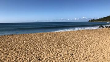 Beach nearby, sun loungers
