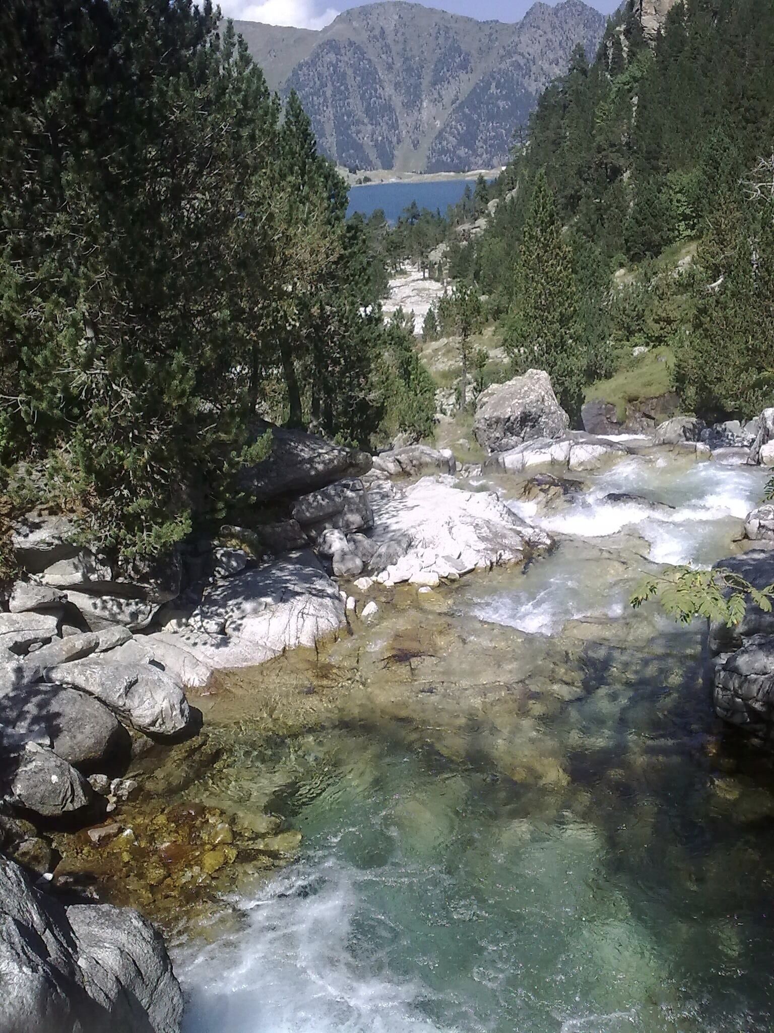 A river flowing through a forested valley with rocky terrain and a mountain in the background.