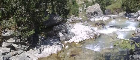 A river flowing through a forested valley with rocky terrain and a mountain in the background.