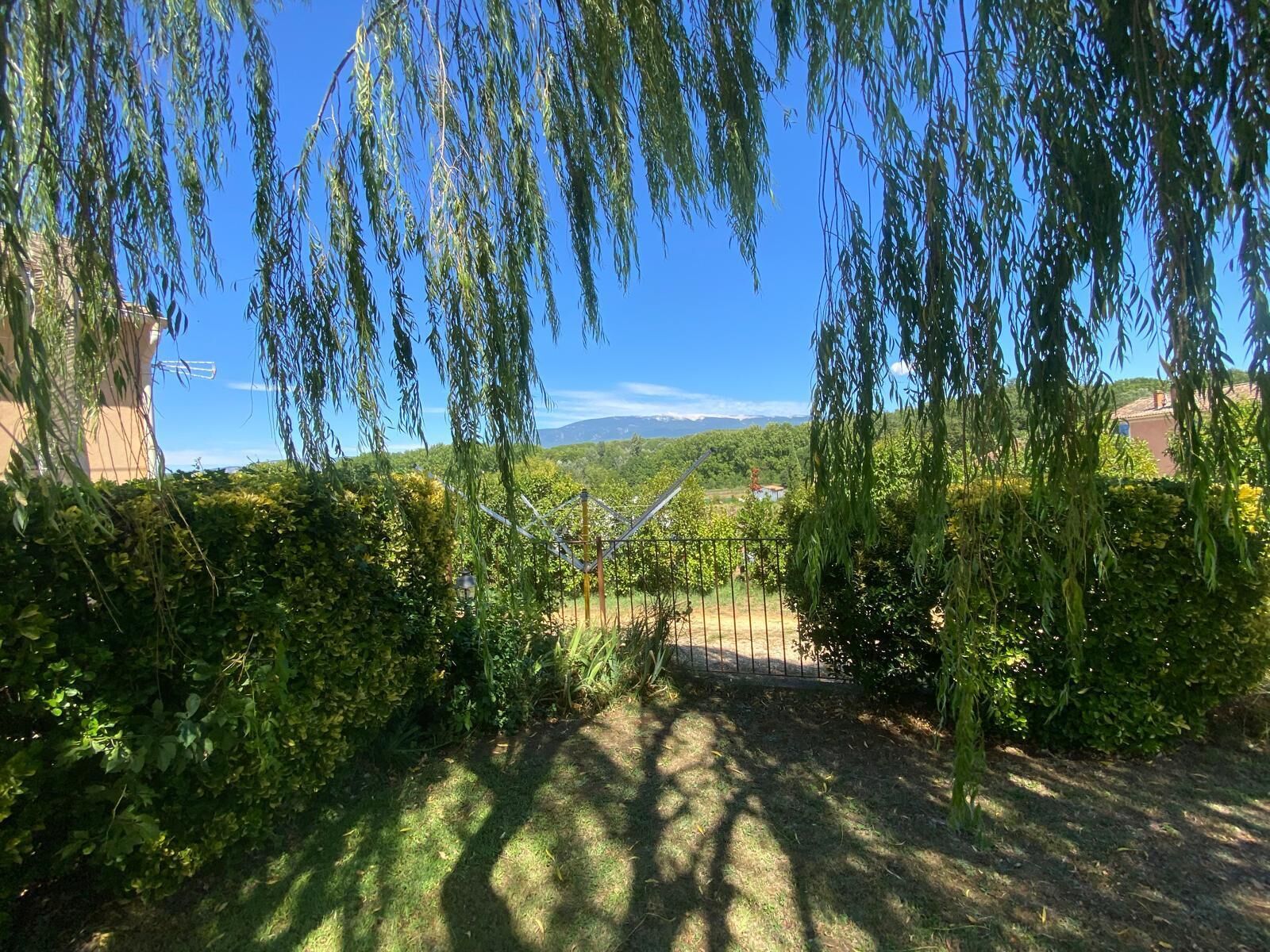Un jardín con valla, follaje y cielo despejado.