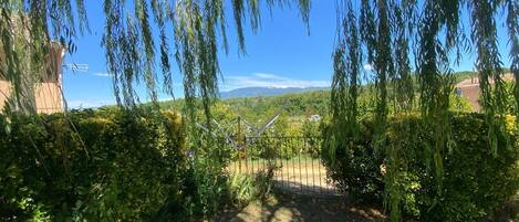 Un jardín con valla, follaje y cielo despejado.