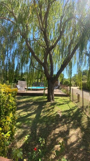 Ein großer Baum in einem Garten mit Pool und einem umzäunten Bereich.