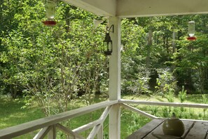 Property grounds - A secluded hideaway in Bath County (Millboro)